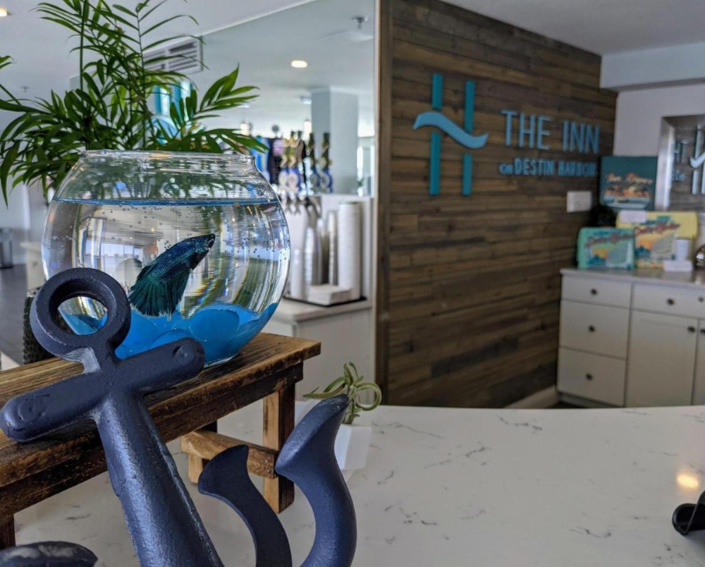 Inn on Destin Harbor, Ascend Hotel Collection Image 27